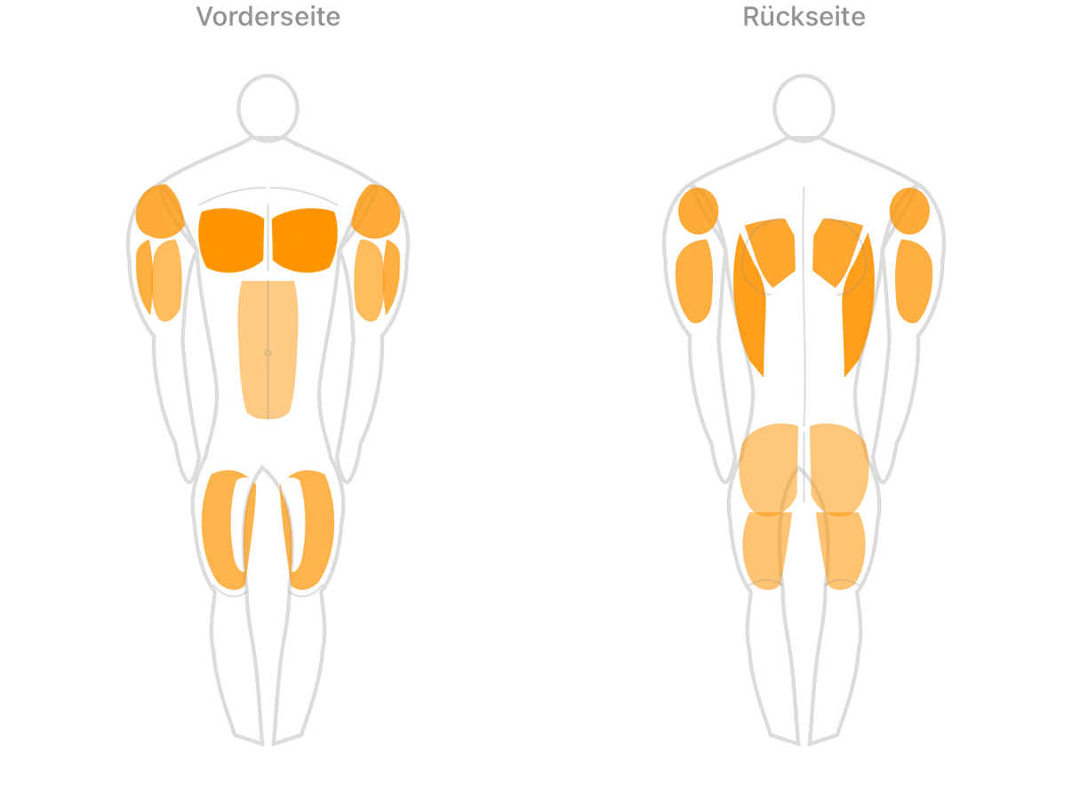 Originale Pumpnote-Anatomieansicht von vorne und hinten mit orange hervorgehobenen Muskelgruppen